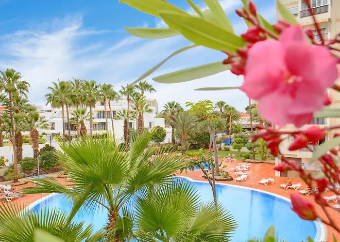 Eldorado In Playa De Americas Near The *